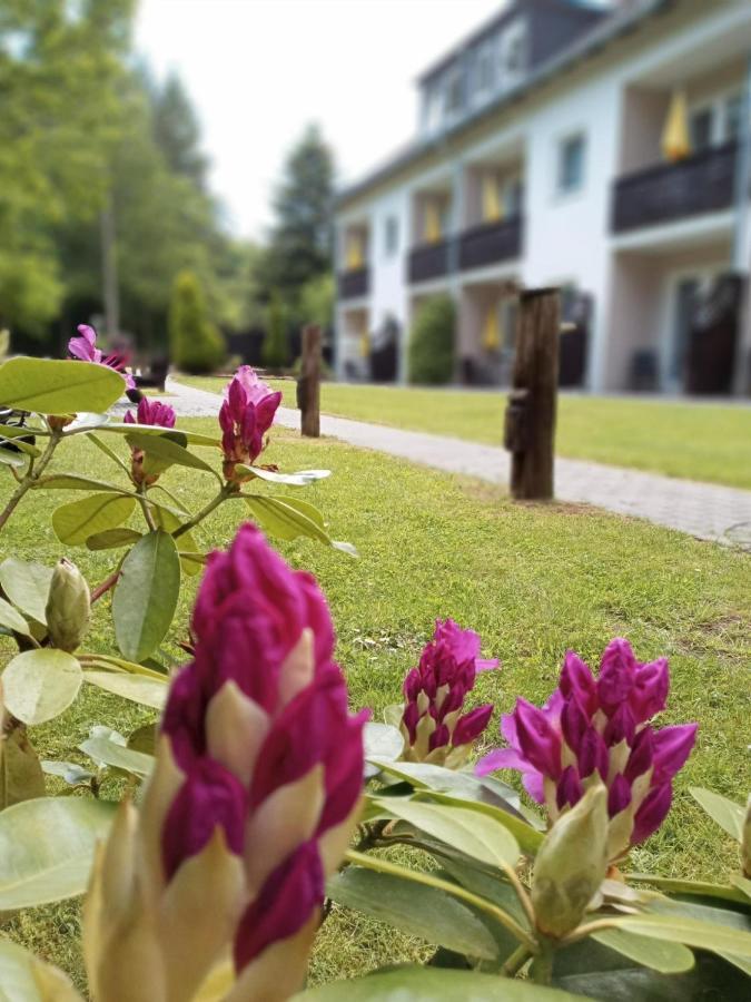 Gaestehaus Falkenhof Westensee Exterior photo